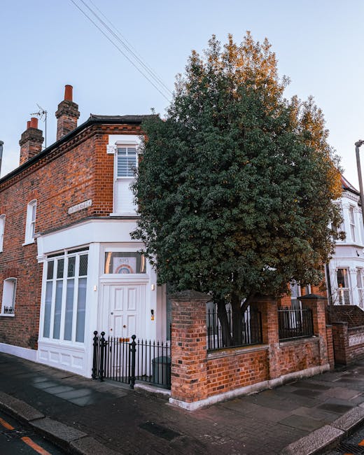 The image shows the exterior of a row of terraced houses with distinct architectural features. In the foreground, there is a white-painted brick wall with a large, double-hung sash window framed in white, featuring multiple panes separated by white muntins. A window box with green leafy plants and foliage sits below the window, adding a touch of natural greenery. Adjacent to the brick wall, a black wrought iron fence with decorative finials runs along the front of the houses, enclosing a small front yard area. In the background, three additional terraced houses are visible, each with a different colour scheme: one is painted in a light pastel pink, with a white decorative cornice and sash windows, and another in a white facade with matching window frames. The house with the pink facade features a prominent red door accessed via a short flight of black steps with matching white risers, flanked by black metal railings. The overall scene is illuminated by natural daylight, creating a clear and neutral atmosphere that emphasizes the architectural details and the urban setting, which is indicative of a typical residential street suitable for private waste collection or on-site clearance services by companies like House Clearance Notting Hill.